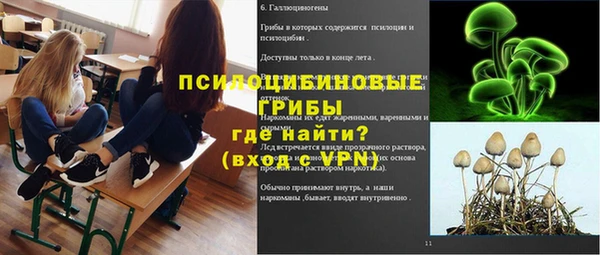 сатива Аксай