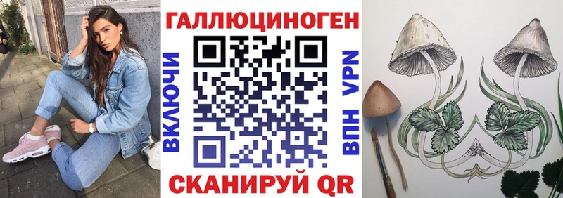 Галлюциногенные грибы Psilocybine cubensis  Купить  Дно 