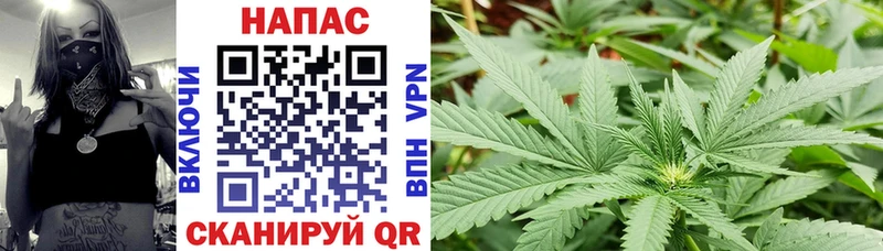 Купить  Дно  Канабис OG Kush 